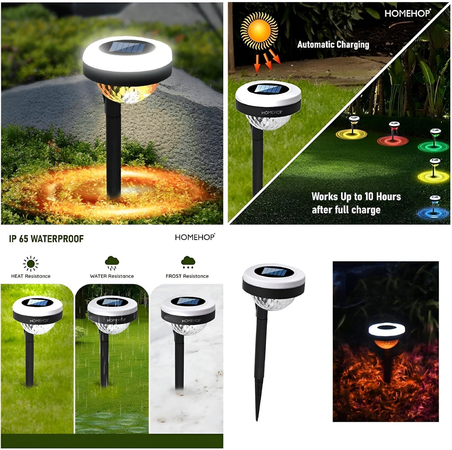 🌞 Solar Patterned Lawn Light