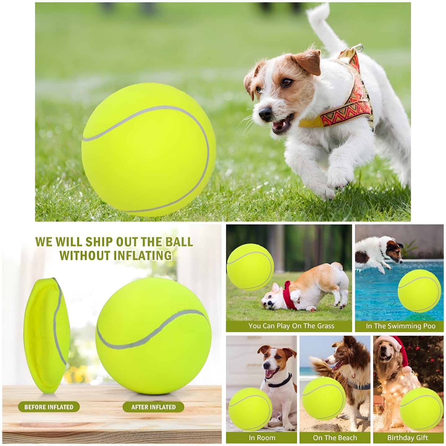 Garden & Pet's