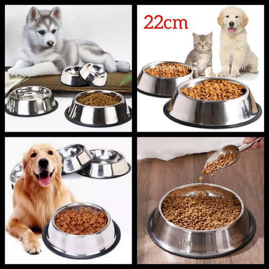 🐾 Pet Feeding Bowl