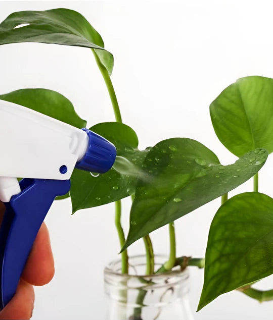 🧴 500ml Spray Bottle